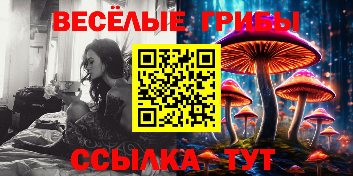 Псилоцибиновые грибы Psilocybe  Вход с VPN  Нефтекамск 