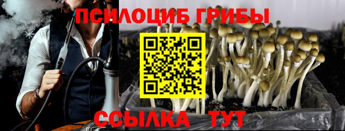 Псилоцибиновые грибы Magic Shrooms Нефтекамск